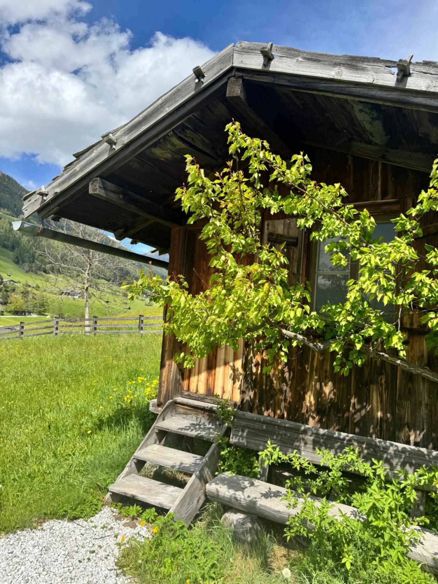 Haus Ilmer Neustift im Stubaital Exterior photo
